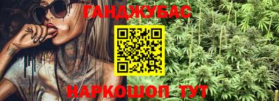 крисы Славгород