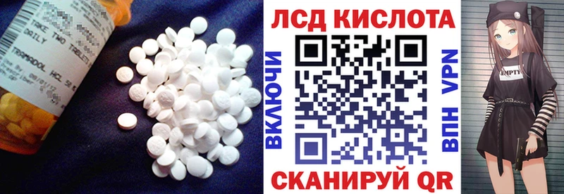 как найти закладки  Новороссийск  ЛСД экстази кислота 