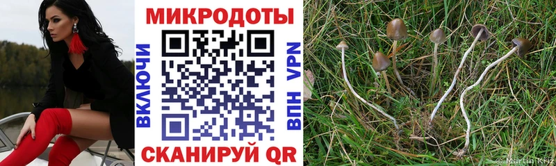 Галлюциногенные грибы GOLDEN TEACHER  Новороссийск 