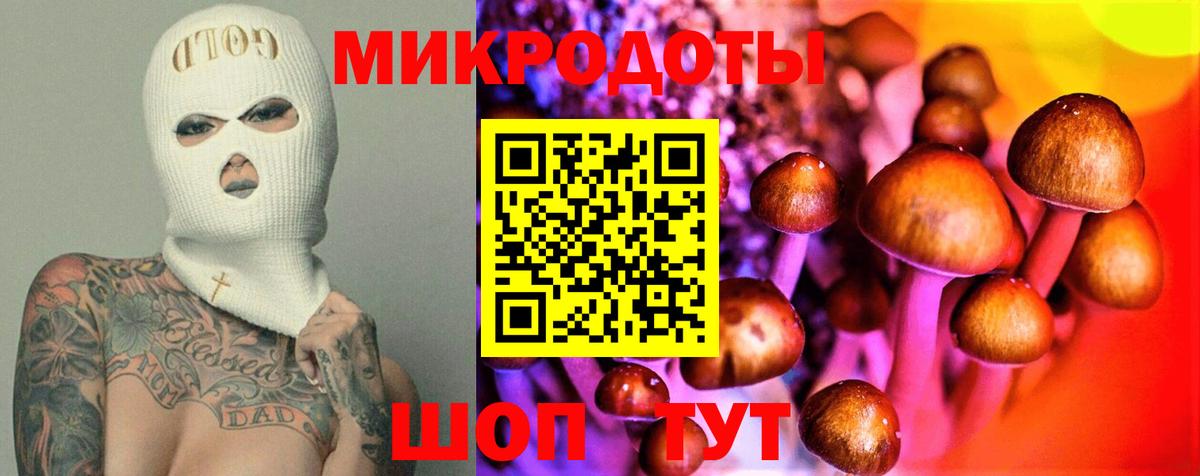 Псилоцибиновые грибы Psilocybe  Псилоцибиновые грибы Psilocybe  Новороссийск  Вход с VPN 